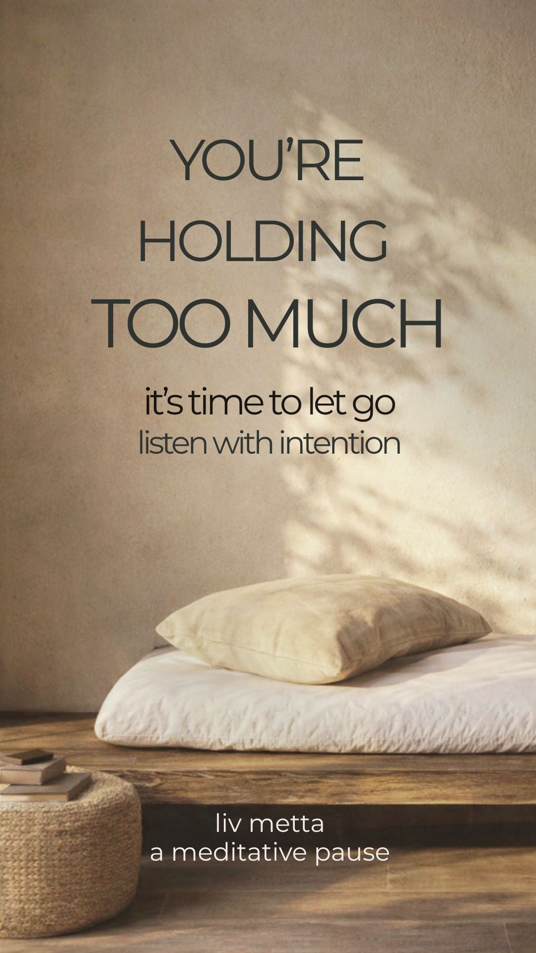 You Are Holding Too Much. Bite Size Guided Meditation for Overwhelm & Stress Relief