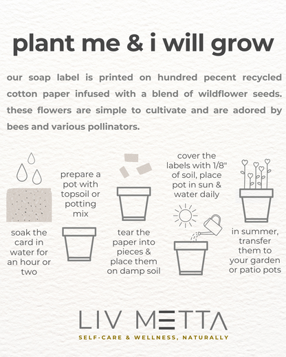 Castor Oil Soap - Rose Clay